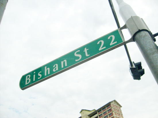 Bishan Street 22 #82882